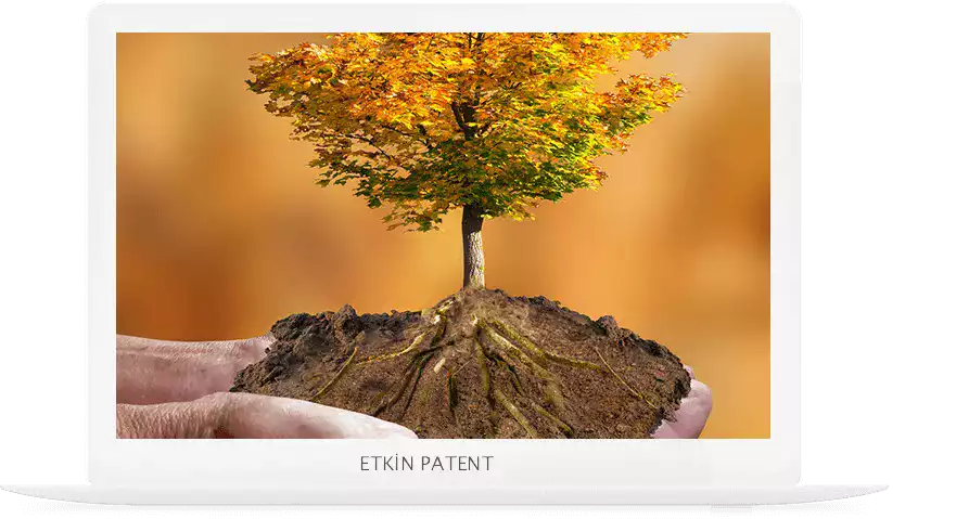 çevre yönetim sistemi denetimi-Şişli Patent