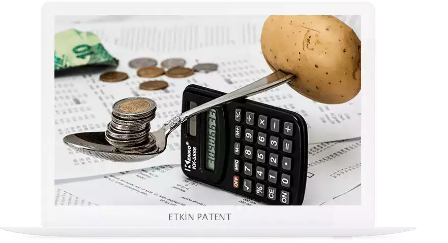 finansal davranışlara dair kombinasyon modeller-Şişli Patent